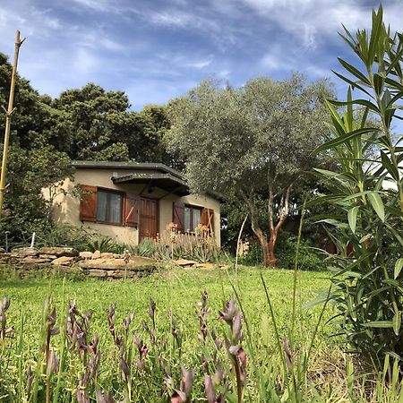 La Cerca Del Alcornoque Affittacamere Casas de Belvis Esterno foto