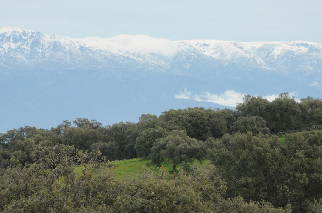 La Cerca Del Alcornoque Affittacamere Casas de Belvis Esterno foto