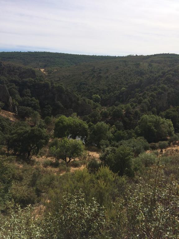 La Cerca Del Alcornoque Affittacamere Casas de Belvis Esterno foto