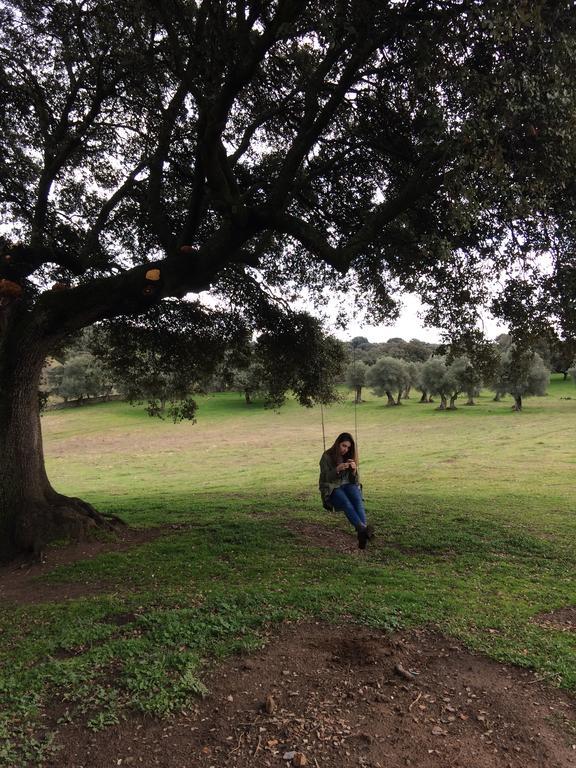 La Cerca Del Alcornoque Affittacamere Casas de Belvis Esterno foto