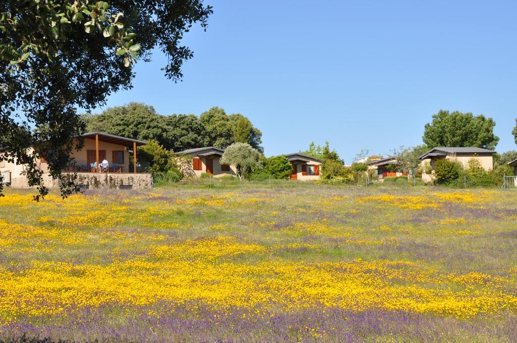 La Cerca Del Alcornoque Affittacamere Casas de Belvis Esterno foto