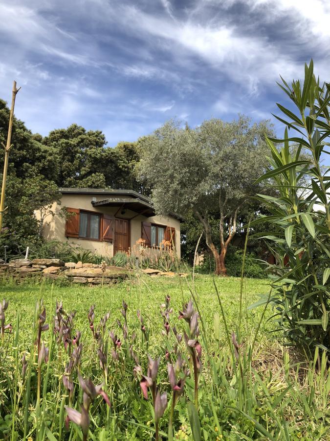 La Cerca Del Alcornoque Affittacamere Casas de Belvis Esterno foto