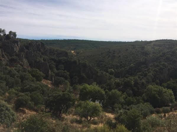 La Cerca Del Alcornoque Affittacamere Casas de Belvis Esterno foto